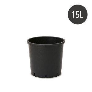 vX^@i[Z[|bg@nhȂ@28Aؔ ^ y  vX`bN