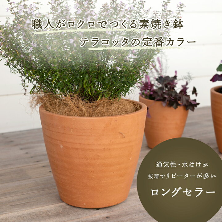 楽天市場】テラコッタ E23 S単品 （7号鉢）≪植木鉢 陶器 テラコッタ 