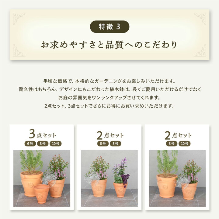 楽天市場】テラコッタ E39 L・M 2点セット （8/10号鉢） ≪植木鉢 陶器 