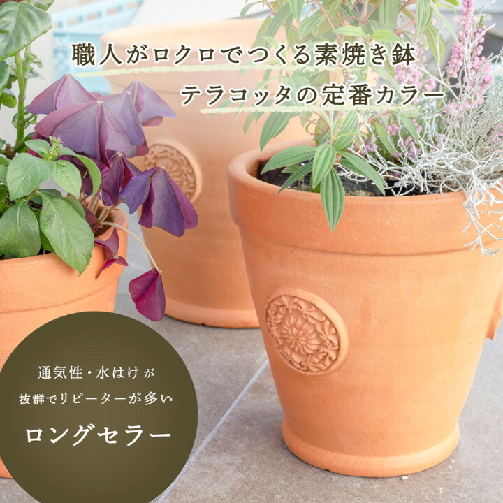 楽天市場】テラコッタ E39 M・S 2点セット （6/8号鉢） ≪植木鉢 陶器 