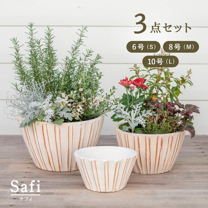 楽天市場】【植木鉢】【テラコッタ】サフィ E34W 3点セット（6/8/10号 