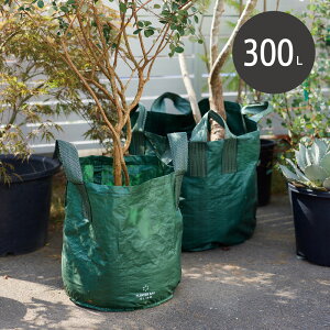 v^[obO@300L Aؔ ^ y  vX`bN