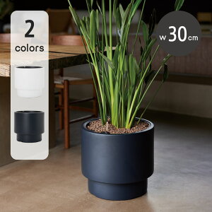 wIX CFf M 30Aؔ y  vX`bN |[h nChJ`[ ChA k͔| k