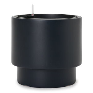 wIX CFf L 40Aؔ y  vX`bN |[h nChJ`[ ChA k͔| k