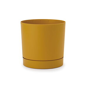 vXp[@gD[{@M 30Aؔ y  vX`bN |[h 󂯎Mt Z[Ώ1iꕔJ[j