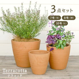 【植木鉢】【テラコッタ】テラコッタ E23 3点セット（7/8/10号鉢）【植木鉢 おしゃれな植木鉢 鉢 テラコッタ 素焼き鉢 陶器鉢】