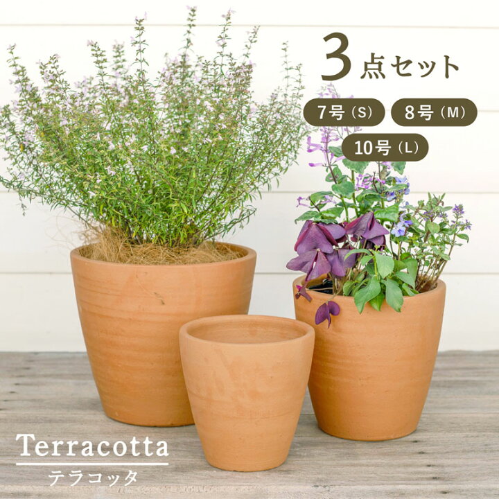 楽天市場】【植木鉢】【テラコッタ】テラコッタ E23 3点セット（7/8/10 