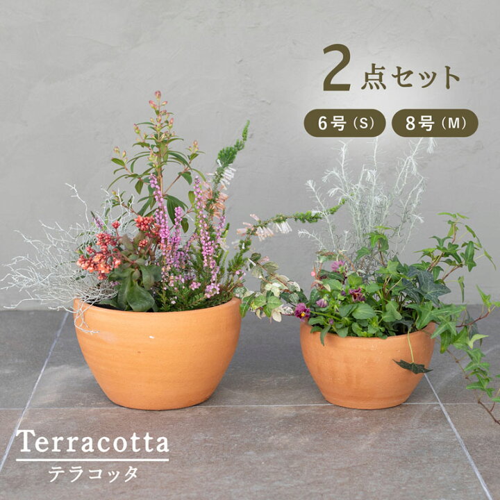 楽天市場】テラコッタ E26 M・S 2点セット （6/8号鉢）≪植木鉢 陶器 