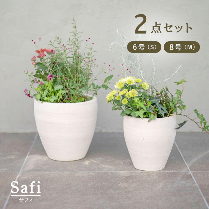 楽天市場】サフィ E30W M・S 2点セット (6/8号鉢) ≪植木鉢 陶器 白系 
