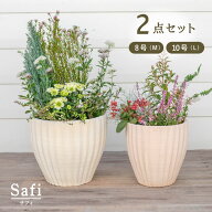 サフィ　36W　L・M（8/10号鉢） 2点セット 　≪植木鉢 陶器 白系テラコッタ 素焼き鉢≫