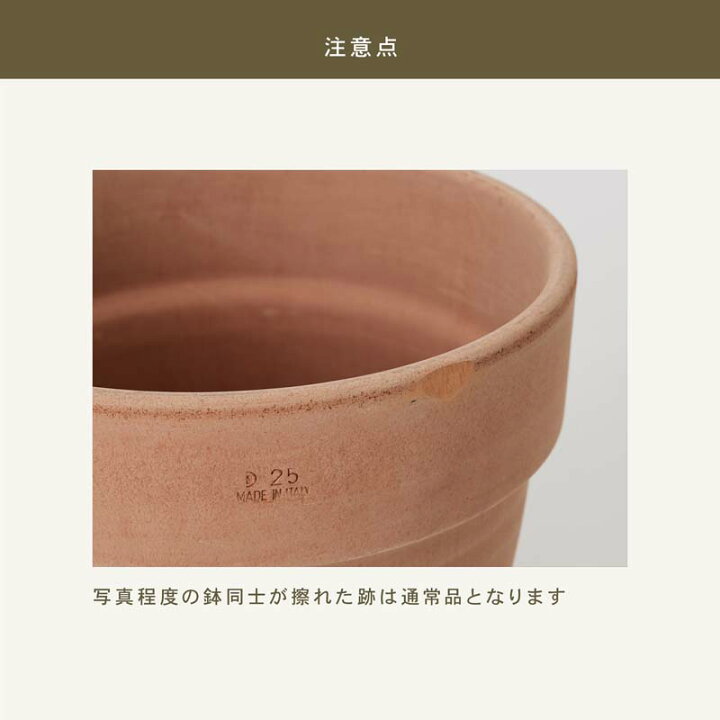 楽天市場】シリンドロ アリーナ 15号 ≪植木鉢 イタリアンテラコッタ鉢 