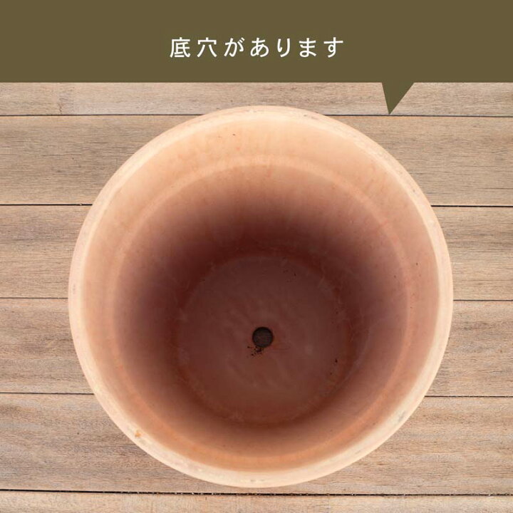 楽天市場】シリンドロ アリーナ 15号 ≪植木鉢 イタリアンテラコッタ鉢 