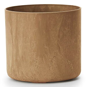 A[gXg[ V_[R@L 20Aؔ ^ y  vX`bN