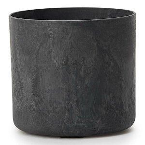 A[gXg[@V_[R@M 15Aؔ ^ y  vX`bN