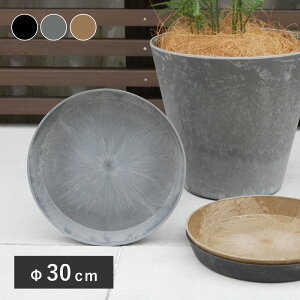 A[gXg[@Eh\[T[ 30 Aؔ ^ y  vX`bN