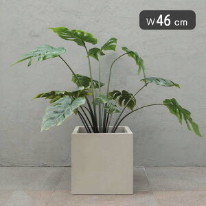 xg AA L 46@^Aؔ EeRb^yʂȃZgv^[