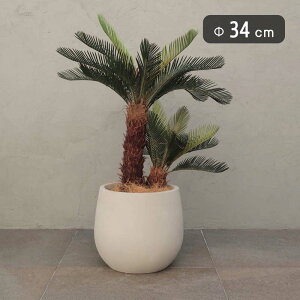 xg gE M 34@^Aؔ EeRb^yʂȃZgv^[