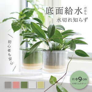 yǗȒPz{^jJ\[Nʋ|bg @Aؔ K[fG KX|bg  킢 CeA/FARM2