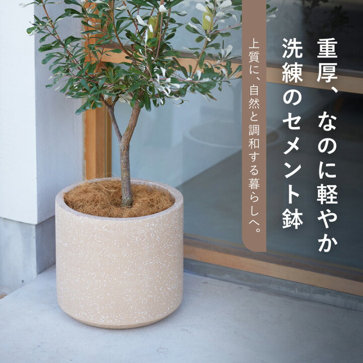 楽天市場】コルテス シリンド 30 ≪植木鉢 ラフ セメントプランター 