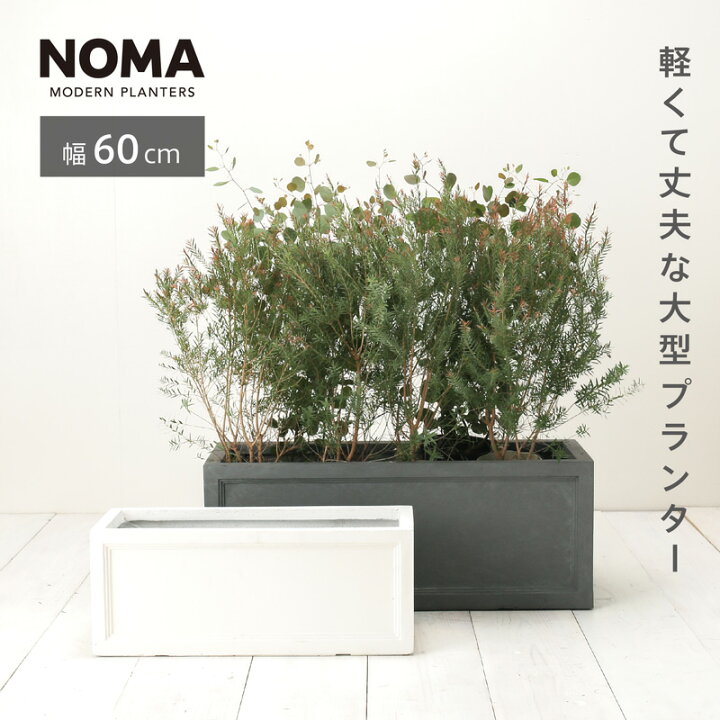 楽天市場】【植木鉢】【大型】ファイバークレイプロ ノーマン 長角 