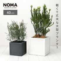 楽天市場】ローラ アシュレイ 植木鉢の通販