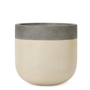 t@Co[Xg[@oS@33 @ႨȐAؔ Jo[ t@Co[Zgv^[