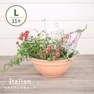 シクラミーノ　アリーナ　11号 　≪植木鉢 イタリアンテラコッタ鉢 素焼き鉢 イタリア≫