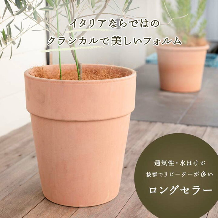 楽天市場】アルト アリーナ 10号 ≪植木鉢 イタリアンテラコッタ鉢 