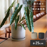 カッソル　ユーポット　8号　≪植木鉢 大型 軽量 おしゃれ ファイバーセメント≫