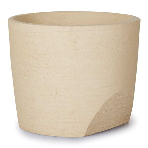 yAؔzy^zRgE|bg V L 15yAؔ ^ ȐAؔ  픫 ^ nz