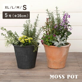 モスポット 406S　5号　　≪植木鉢 おしゃれ ラフ 陶器 テラコッタ 素焼き鉢≫