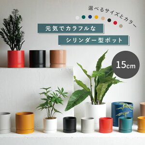 󂯎Mt픫 I[Z15 󂯎MtyAؔ  K[fG 킢 CeA  z