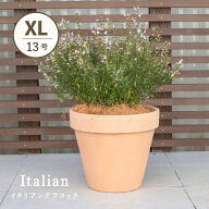 スタンダルド　アリーナ　13号 　≪植木鉢 イタリアンテラコッタ鉢 素焼き鉢 イタリア≫