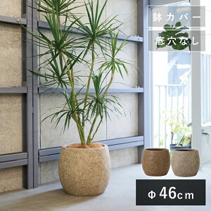 lC`[YELXg o 46@Aؔ  ^ y Jo[ 