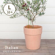アルト　アリーナ　10号 　≪植木鉢 イタリアンテラコッタ鉢 素焼き鉢 イタリア イタリア製≫