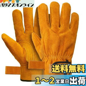 yz[Fieekty] ϔMO[u Lv  o[xL[ AEghApϔM yϔMiz LȂ v ω dXg[u Α n |p Ɨp tz 
