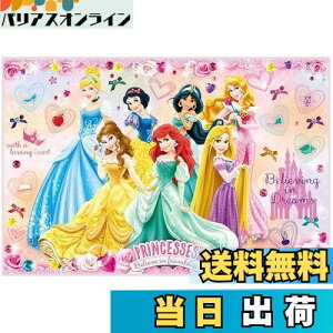 【送料無料】スケーター(Skater) レジャーシート Sサイズ 60×90cm ディズニー プリンセス 24 VS1-A