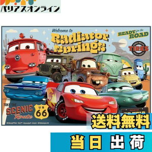 yzXP[^[(Skater) W[V[g STCY 60×90cm fBYj[ J[Y 24 VS1-A