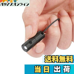 【送料無料】KeyUnity KF00BK ミニライト キーホルダー 小型懐中電灯 キーホルダーライト 超小型LED 防水 チタン合金製 超軽量 3個のボタン型電池対応 IPX8防水 実用点灯12時間 edc懐中電灯 10g (PVDブ