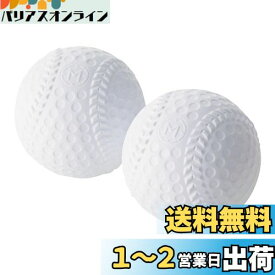 キャプテンスタッグ(CAPTAIN STAG) レジャー 野球 ボール CS 野球ボール ソフトタイプ 2個入り UX-2589