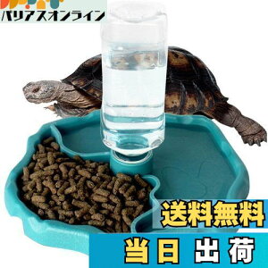 yzIKENOKOI঒ H  a  T/gJQ//Ȃ঒ސpiu[j