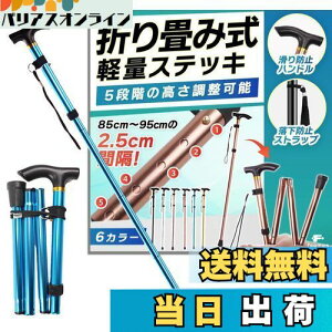 yzfogman  ܂肽 y XebL  j   Lk 5iK (u[)