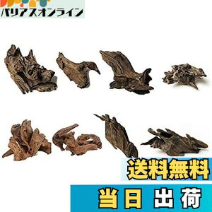 yz8 كVN R GCuؐ̑ i 8`10cmj