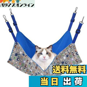 yzL nbN Blueekin LbgnbN q\ 56cm x 46cm ω׏d10KG 傫 ybg xbh ˂nbN P[Wp ʋC ڂ Vя v ې ē~p