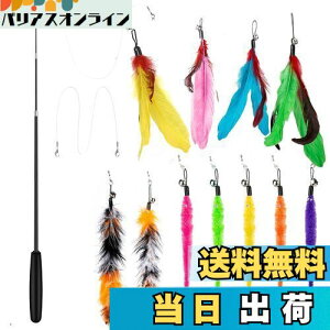 yz14 _Zbg L ColiChili L炵 VR Ĥ pH11 _t pނ莅2 ԂԂ ybgObY ˂pi