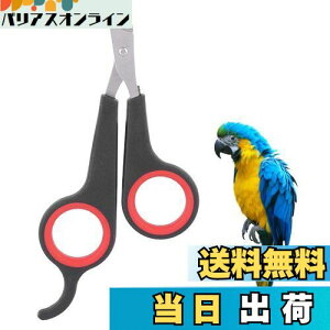 yzFTVOGUE ̒ܐ؂, o[hP[WGbZVANZT[Ao[hO[~Oc[AANZT[\bhXeXX`[o[hlCNbp[AybgV