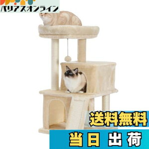 yzPAWZ Road Lbg^[ ~j ^ VjA L^[ Ⴂ L 2ixbh ybg^[ X RpNg u ߋ   R L̉ ܂Ƃ|[ X[v 