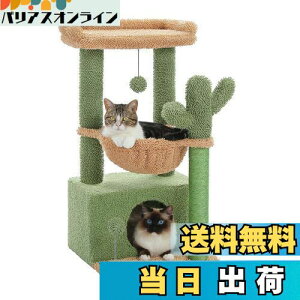 yzPAWZ Road Lbg^[ ~j L^[ T{e ^  u lC RpNg ȃXy[X R܂Ƃ nbN  CeA Vv 킢 t -