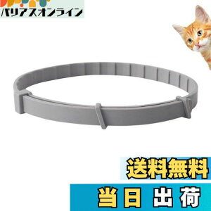 yzItisyou ybg悯 L m~ ybg̒ m~    38cm