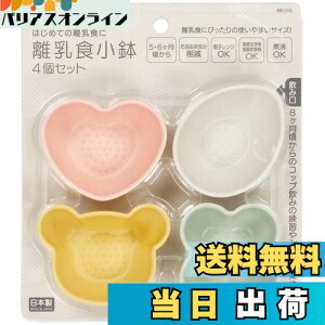 yzXP[^[(Skater) |vs H  4Zbg ݃J[ { BBLS1Q-A